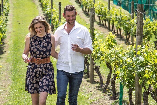 The Essence of Waiheke Wine Tour - Key things worth getting excited about