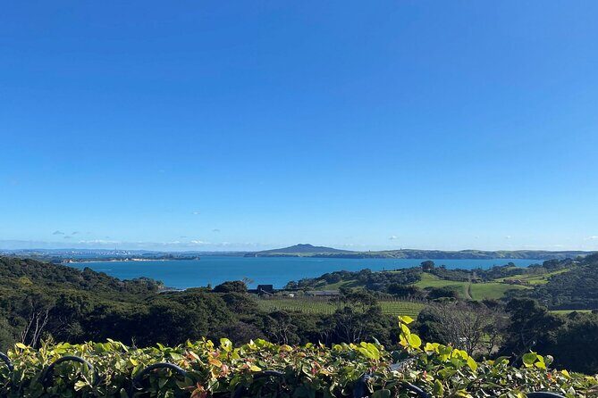 The Essence of Waiheke Wine Tour - Mudbrick Vineyard: a strong opening tasting