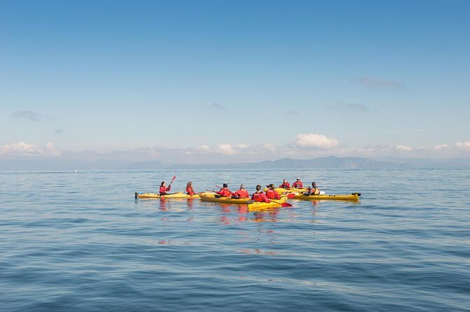 The Maori Carvings Half Day Kayak - Price and what you’re really paying for at $83.78
