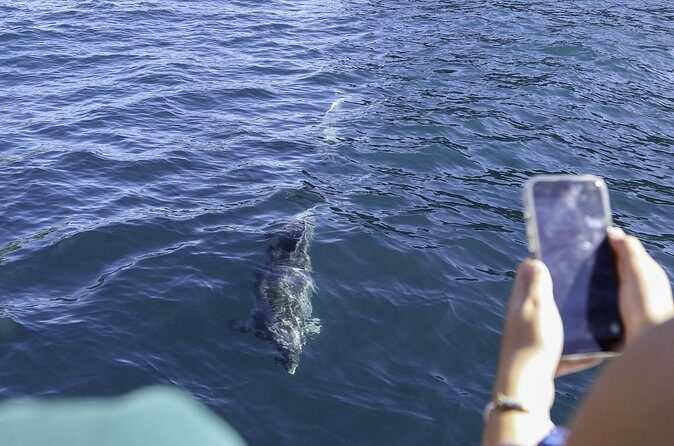 The Original Full day Bay of Islands Cruise with Dolphins - Rangihoua Heritage Park from the water: Marsden Cross without the crowding