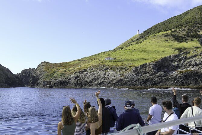 The Original Full day Bay of Islands Cruise with Dolphins - Motukōkako Island (Piercy Island): the far-point stop with real story value