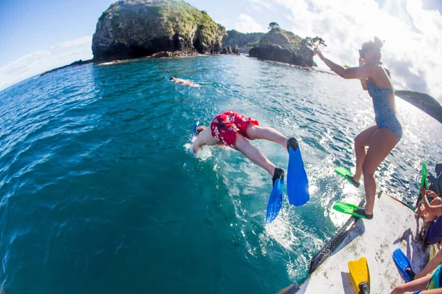 The Rock Adventure Day Cruise - Kayaking along the shoreline: caves, birdlife, and real paddling time
