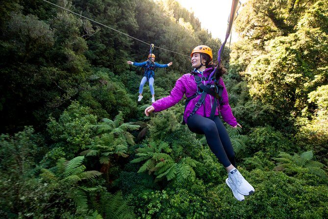 The Ultimate Canopy Zipline Experience Private Tour From Auckland - From Auckland to Rotorua: the real reason this feels like a win