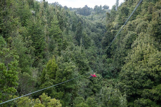 The Ultimate Canopy Zipline Experience Private Tour From Auckland - Booking pace: why you should treat this like a popular attraction