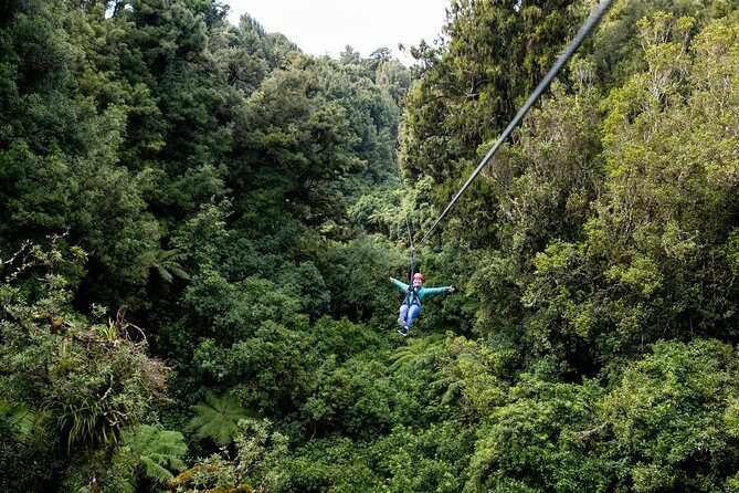 The Ultimate Canopy Zipline Experience Private Tour From Auckland - Safety gear included and the fitness rules you should not ignore