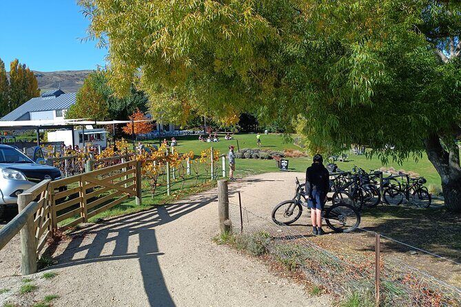 The Ultimate Lake Dunstan Bike Hire And Boat Experience - Cromwell-to-Clyde in one smooth plan