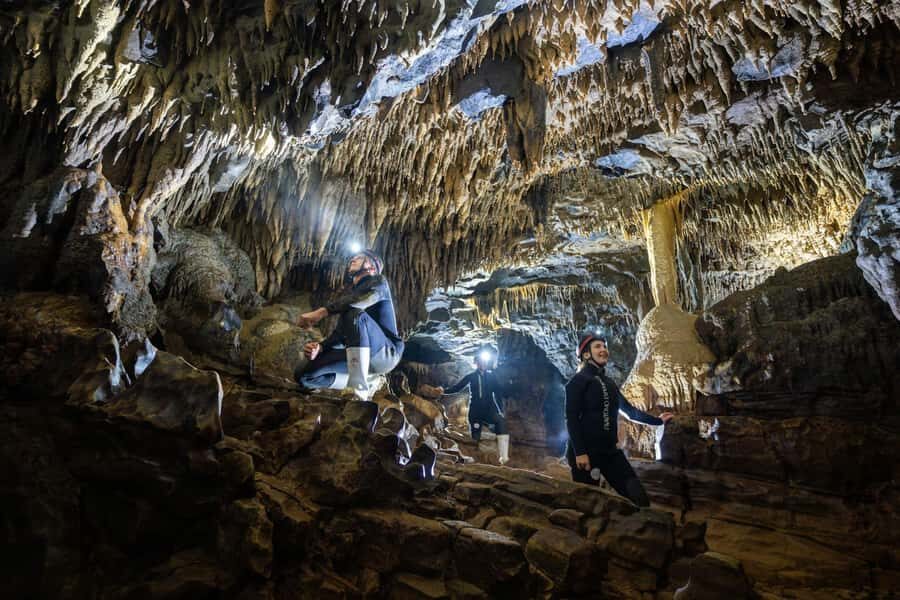 The Waitomo Experience : Okohua Glowworm Cave Tour - Your farm-to-cave start at Tumu Tumu Station