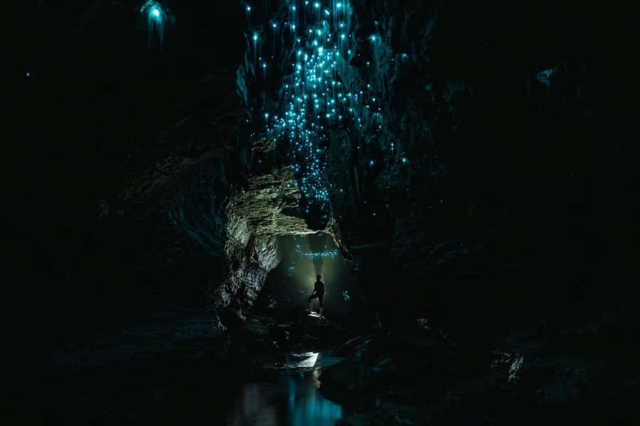 The Waitomo Experience : Okohua Glowworm Cave Tour - Gear, heat, and showers: what “eco-adventure” should feel like in practice