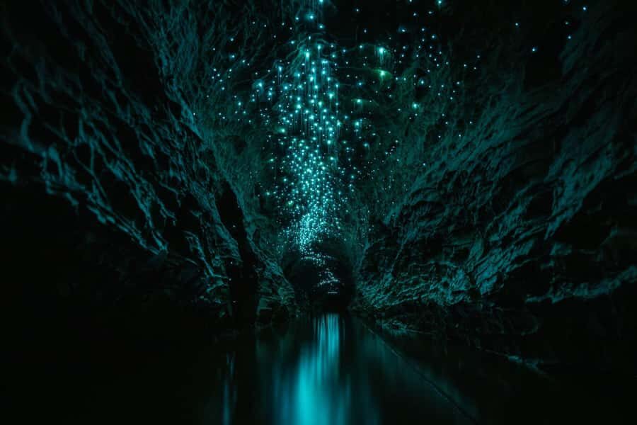 The Waitomo Experience : Okohua Glowworm Cave Tour - The cedar hot tub finish: why it works better than you expect