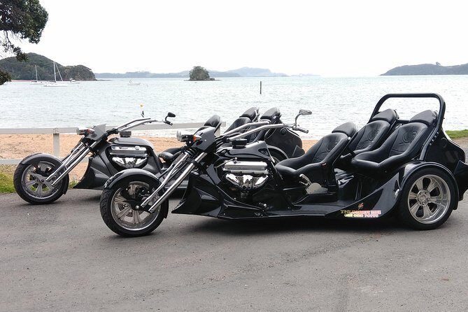 Thriller Tour - Bay of Islands, 30 mins (min 2) - Should you book the Thriller Tour in the Bay of Islands?