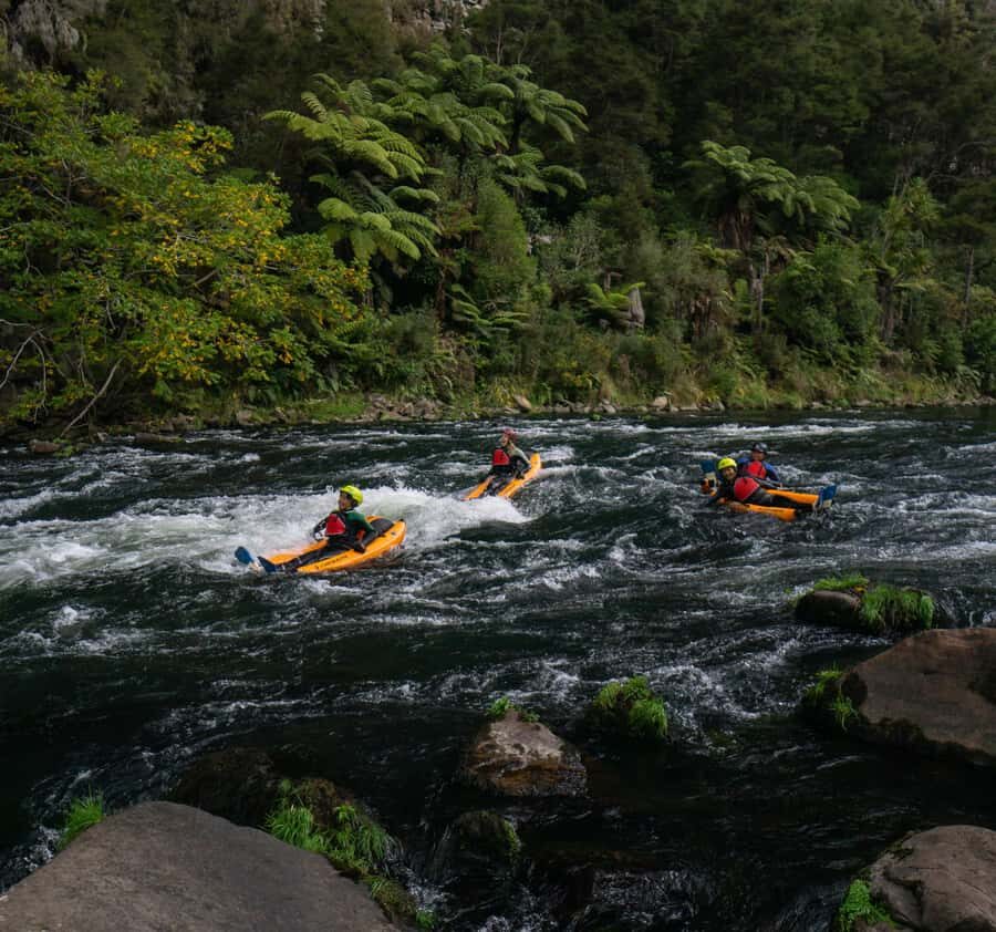 Thrilling Riverbug Adventure on the Rangitāiki River - Whitewater Fun That Still Feels Under Control