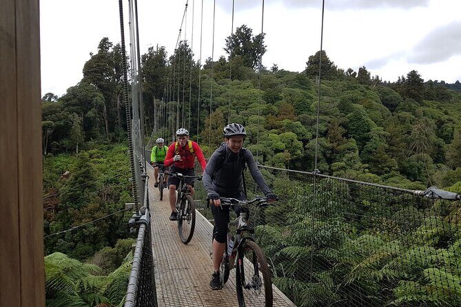 Timber Trail - Ongarue to Pureora Shuttle 2 Day Ride - Timber Trail shuttle logistics: why Ongarue to Pureora feels easier