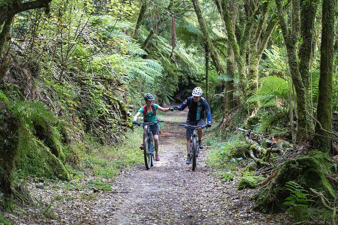 Timber Trail - Ongarue to Pureora Shuttle 2 Day Ride - Getting to the start: secure parking, pickups, and an 8:30am start