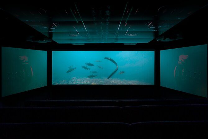 Time Tripper Queenstown - The underwater observatory finale: eels, trout, and ducks at the glass