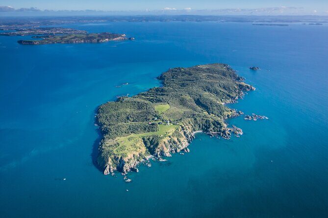 Tiritiri Matangi Island Discovery - from Auckland - Why Tiritiri Matangi feels like a different world from Auckland