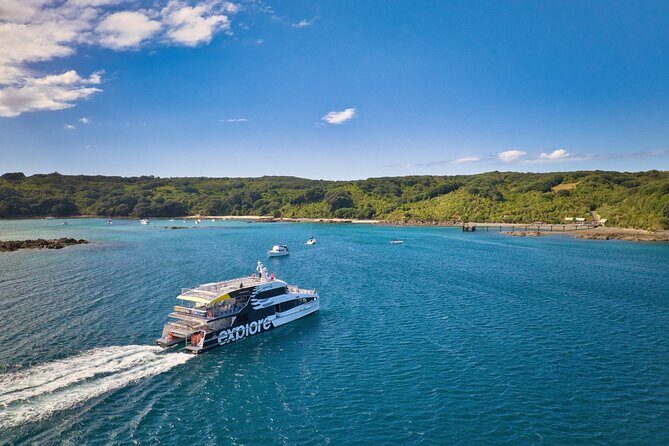 Tiritiri Matangi Island Discovery - from Auckland - The Hauraki Gulf cruise: what the ride feels like