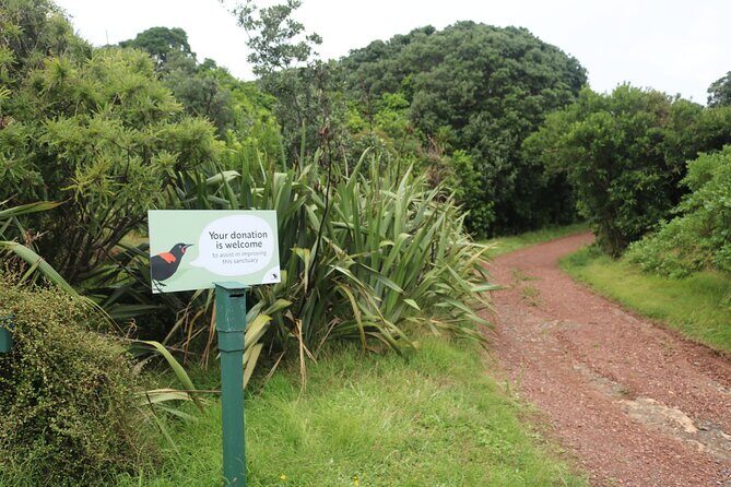 Tiritiri Matangi Island Discovery - from Auckland - What to pack: mud, cold air, and food rules that protect the island