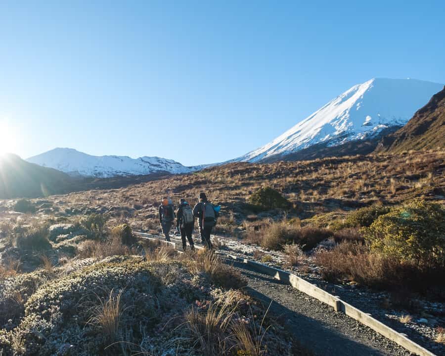 Tongariro Alpine Crossing: Premium Guided Hike - Key highlights worth planning for