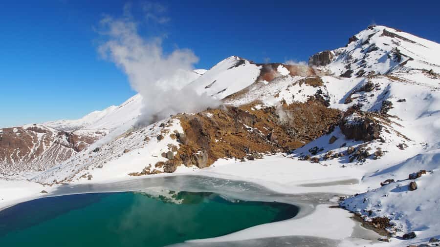 Tongariro Alpine Crossing: Premium Guided Hike - Native bush and springs: the calmer pockets that keep you steady