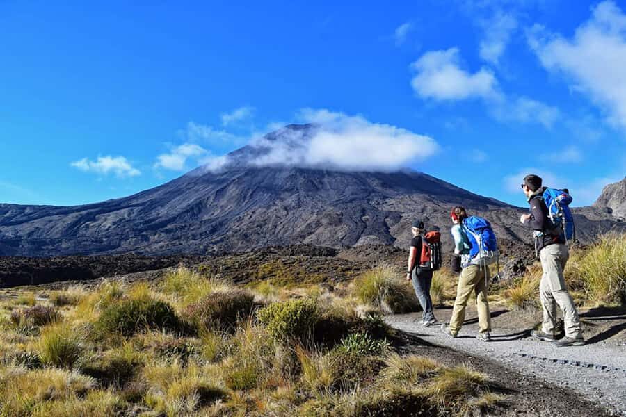 Tongariro Alpine Half Day Guided Group Walk - Safety Briefing and Gear: What’s Covered (and Why It’s a Big Deal)