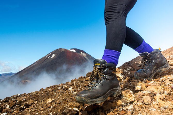 Tongariro Crossing Park & Ride (Ketetahi) - Price and Value: What $40.34 Buys You (and What It Doesn’t)