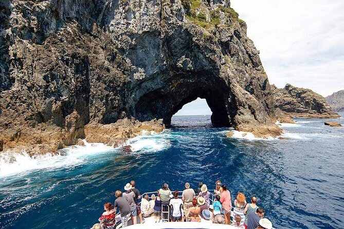 Tongariro Crossing : PRIVATE TRANSFER Leaving AUCKLAND - Comfort and support details that matter more than you think