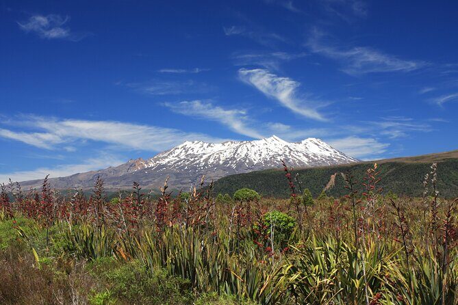 Tongariro Discovery Walk - What you learn on the trail (and why it’s worth it)