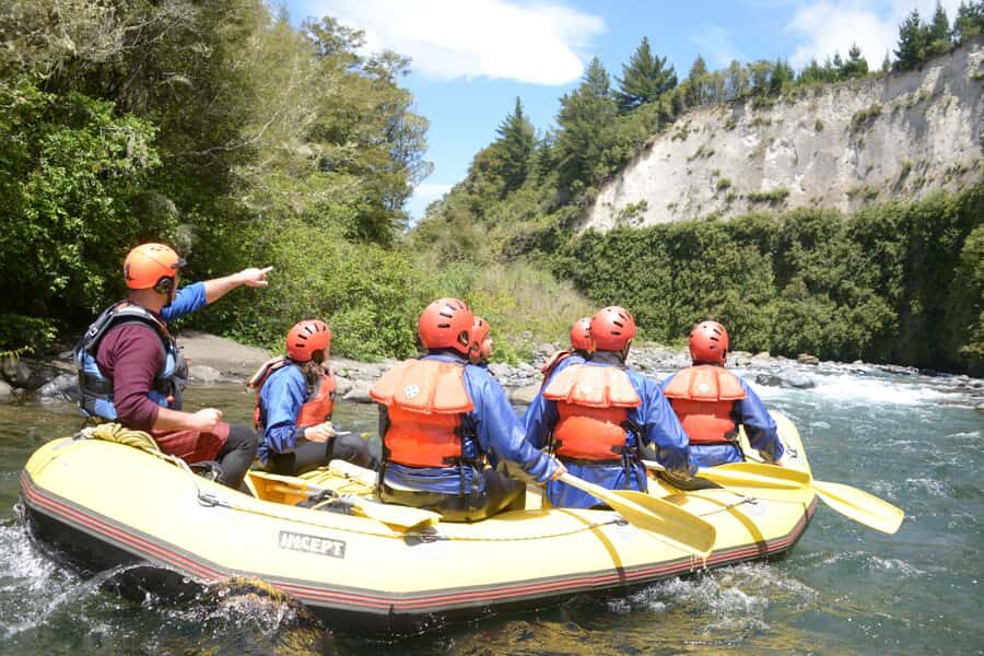 Tongariro River: Grade 3 Whitewater Rafting - The Blue Duck Bonus: Wildlife You Might See on the River