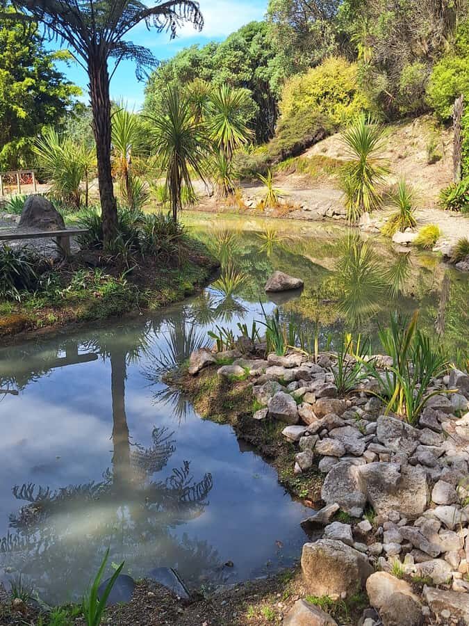 Tour of the Bay, Te Puna Sculpture Park and Historic Village - Tauranga and Mount Maunganui in a small, air-conditioned van