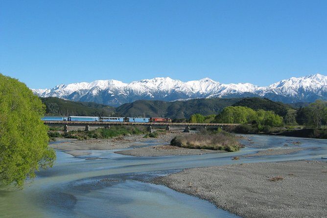 Tranz Alpine Train Tour - Key Points You’ll Care About