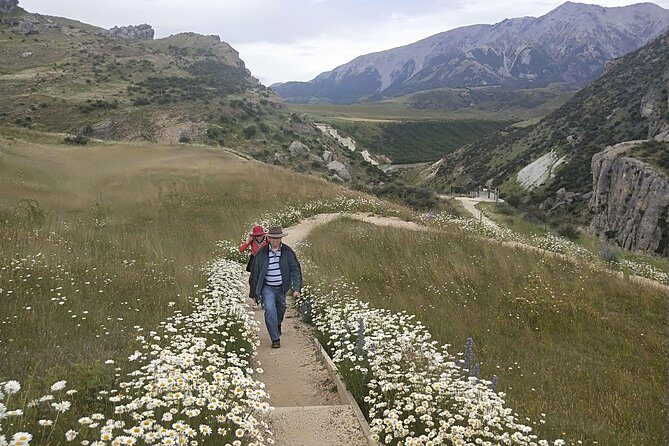 Tranz Alpine Train Tour - The Home-Made Picnic Break That Resets the Day
