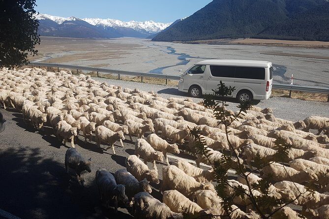 Tranz Alpine Train Tour - What Makes the Guide Matter: J Craig Rome (Craig) and a Flexible Style