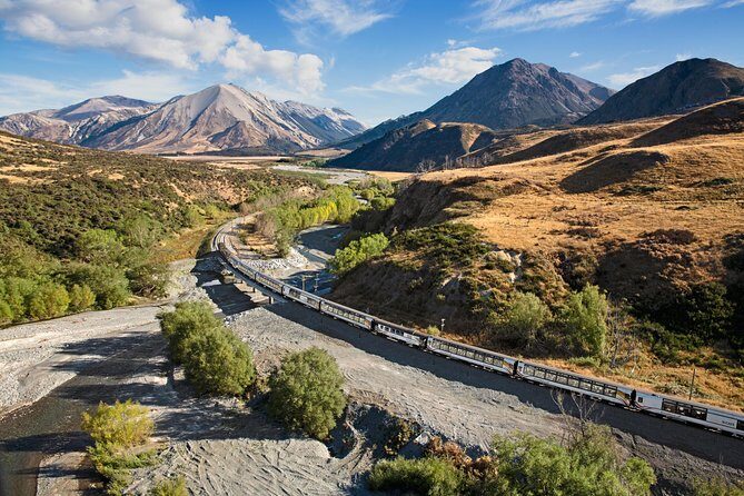 TranzAlpine Train Journey from Greymouth to Christchurch - Key things that make this ride worth your time