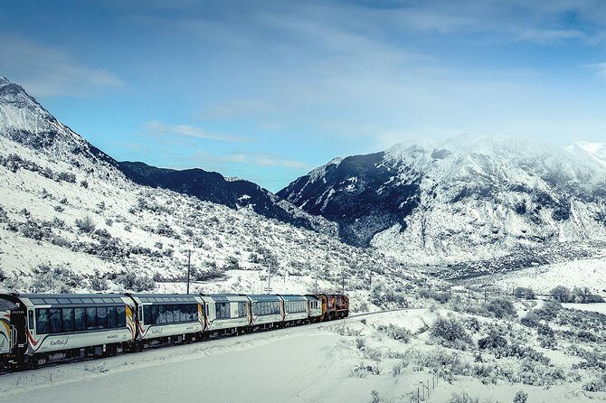 TranzAlpine Train Journey from Greymouth to Christchurch - Coast-to-Alps changeover: Greymouth through native beech rainforest