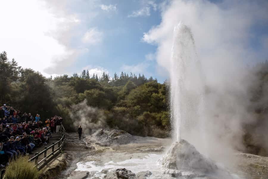 TRIPLE DEAL Wai-O-Tapu, Redwood & Blue Springs from Auckland - Wai-O-Tapu Mud Pool: the primal start you can’t fake