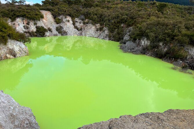 TRIPLE DEAL Wai-O-Tapu, Redwood Forest & Blue Springs Ex Auckland - Top reasons this Triple Deal day works