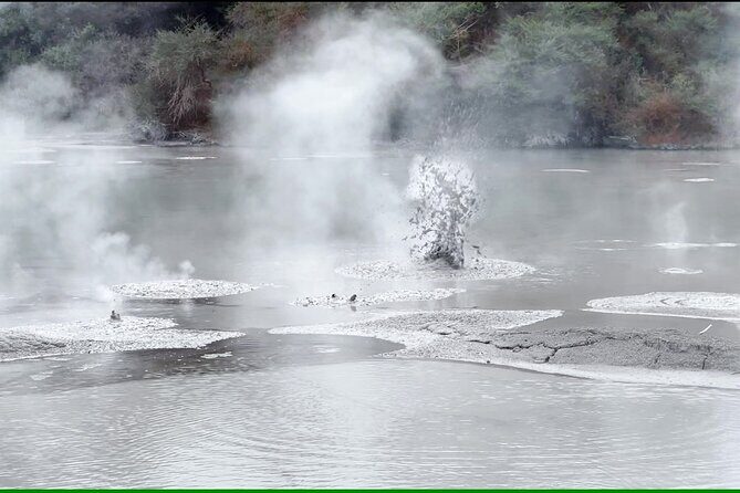 TRIPLE DEAL Wai-O-Tapu, Redwood Forest & Blue Springs Ex Auckland - Tirau’s Dog and Sheep corrugated iron buildings: quick quirky leg-stretch