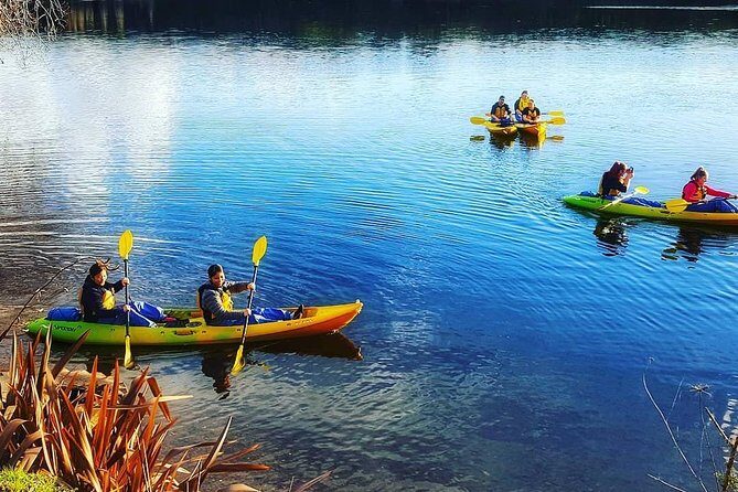 Twilight Glowworm Kayak Tour – Lake Karapiro - The 3.5-hour flow: getting fitted, paddling up, then returning in the dark