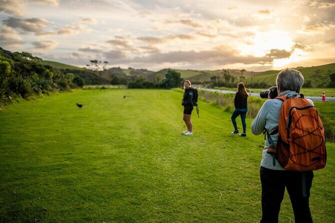 Twilight Wild Kiwi Bird Encounter Private Tour - The 5:00 pm flow and how the 6.5 hours usually feel