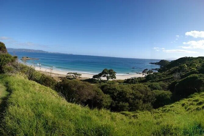 Twilight Wild Kiwi Bird Encounter Private Tour - Private pickup and an air-conditioned ride that reduces stress