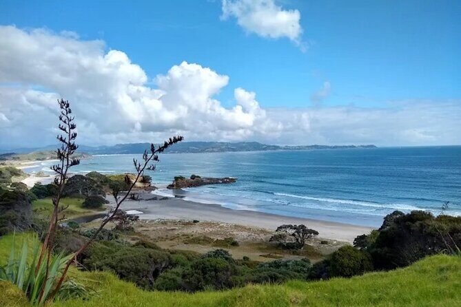 Twilight Wild Kiwi Bird Encounter Private Tour - How many kiwi should you expect? Aim for the experience, not the count