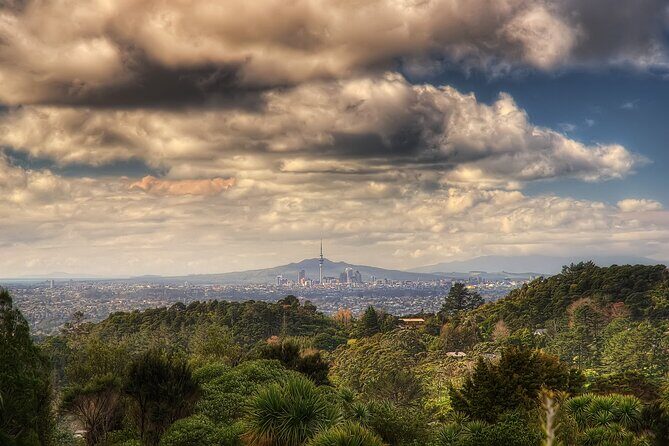 Ultimate Auckland Experience Full Day Tour with Brewery Lunch - Key Reasons This Tour Works So Well