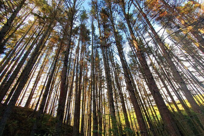 Ultimate self-drive rail car journey - Small-group comfort: waterproof sides, seating for four, and the mellow pace