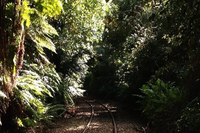 Ultimate self-drive rail car journey - Who should book this rail cruise?