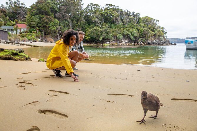 Ulva Island Explorer from Stewart Island - Key points to know before you go