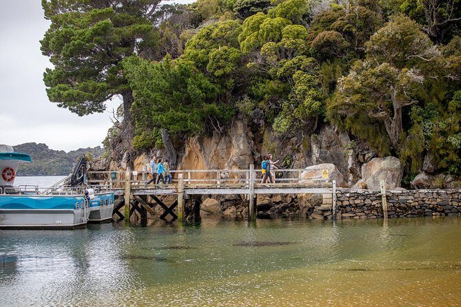 Ulva Island Explorer from Stewart Island - Catamaran Calm on Paterson Inlet