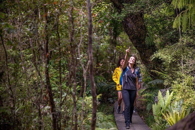 Ulva Island Explorer from Stewart Island - Wildlife spotting on the water: seals, penguins, and quick eyes