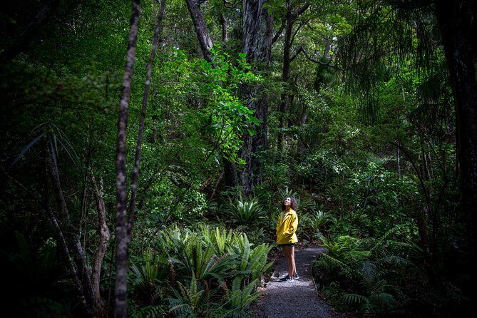 Ulva Island Explorer from Stewart Island - Guides like Karen, Sarah, and Claire make the difference
