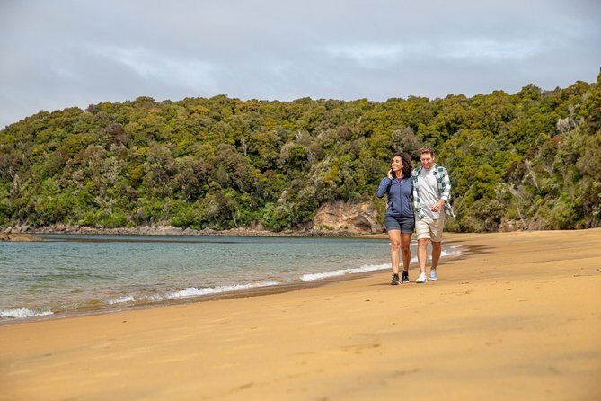 Ulva Island Explorer from Stewart Island - Group size, comfort, and what “small group” really means