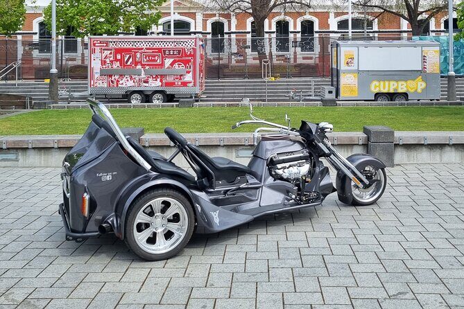 V8 Trike Private Tour of Christchurch - Hagley Park: Christchurch’s biggest green reset